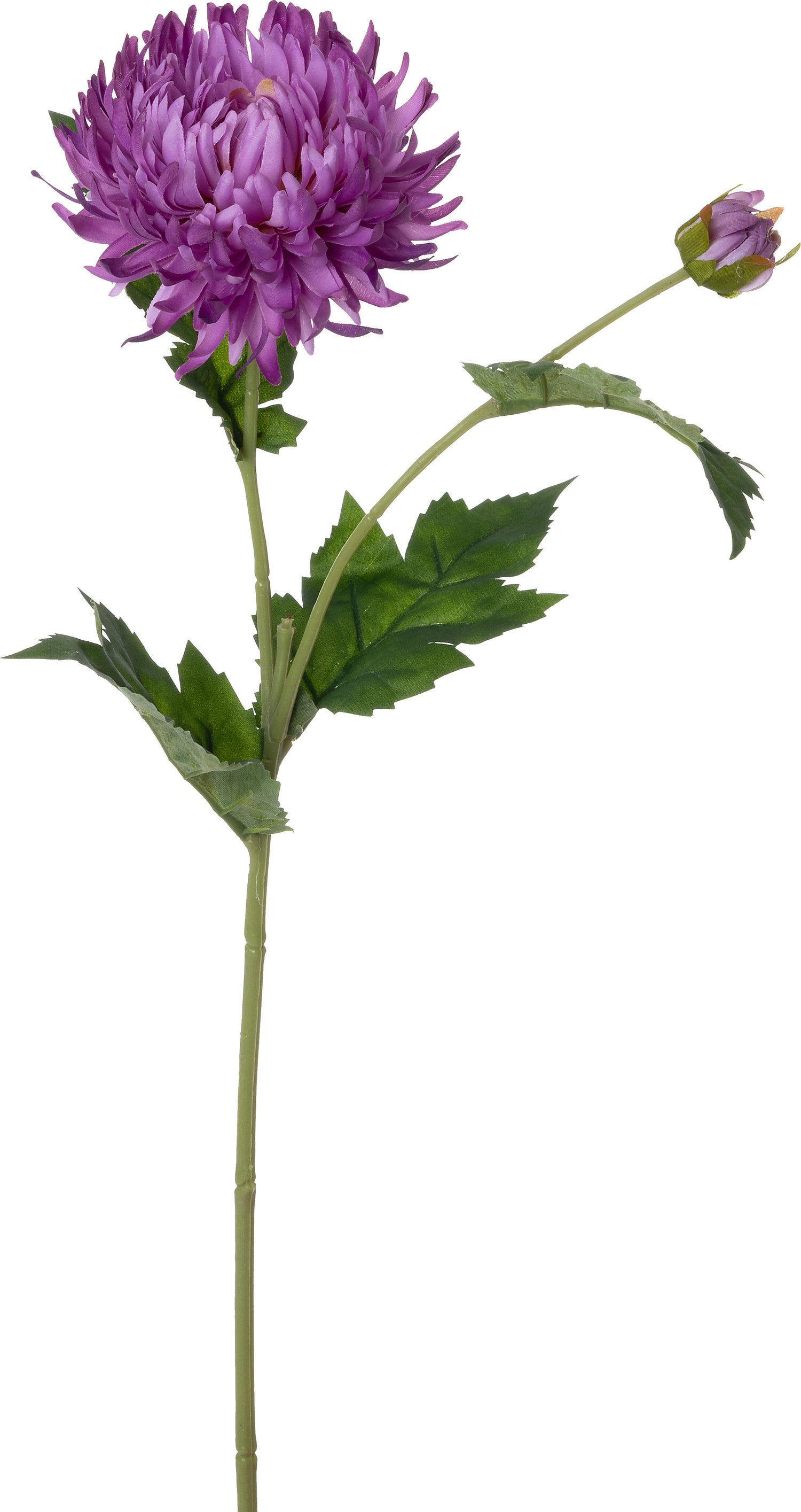 Intratuin kunstbloem Chrysant paars 60 cm