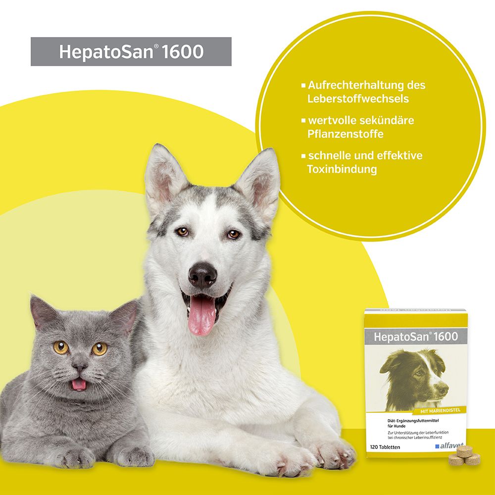 HepatoSan® 1600