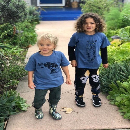 Camiseta com estampa de totem animal para meninos/meninas, tartaruga azul