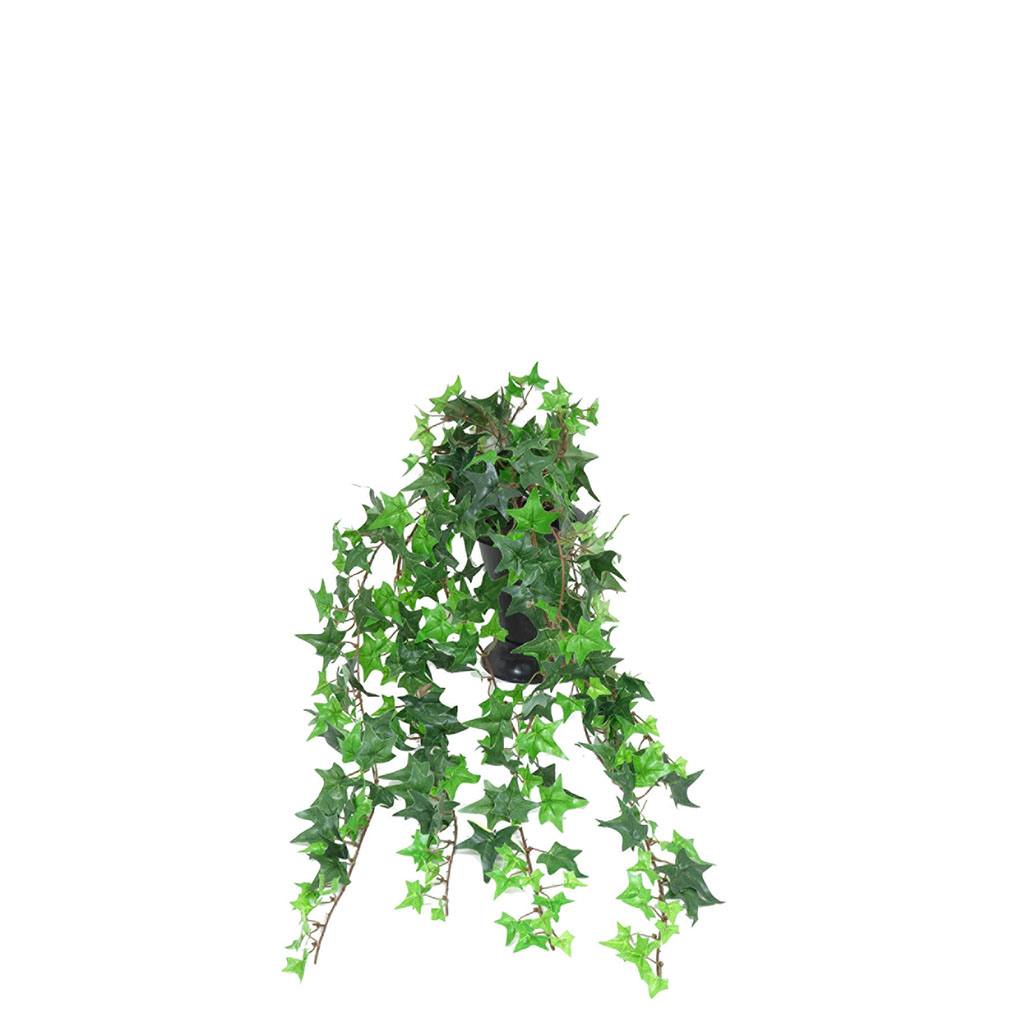 Chute lierre artificiel 70cm