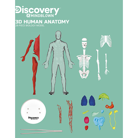 Discovery Mindblown 3D menneskelig anatomi