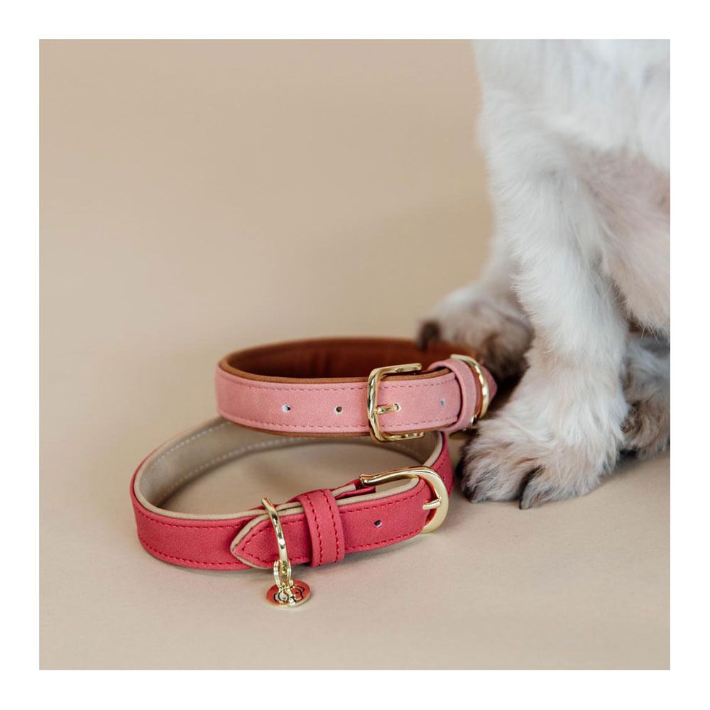 Kentucky CUIR VEGAN -  Collier pour chien red/beige
