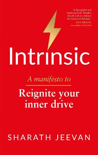 Intrinsic: A manifesto to reignite your inner drive (Paperback)