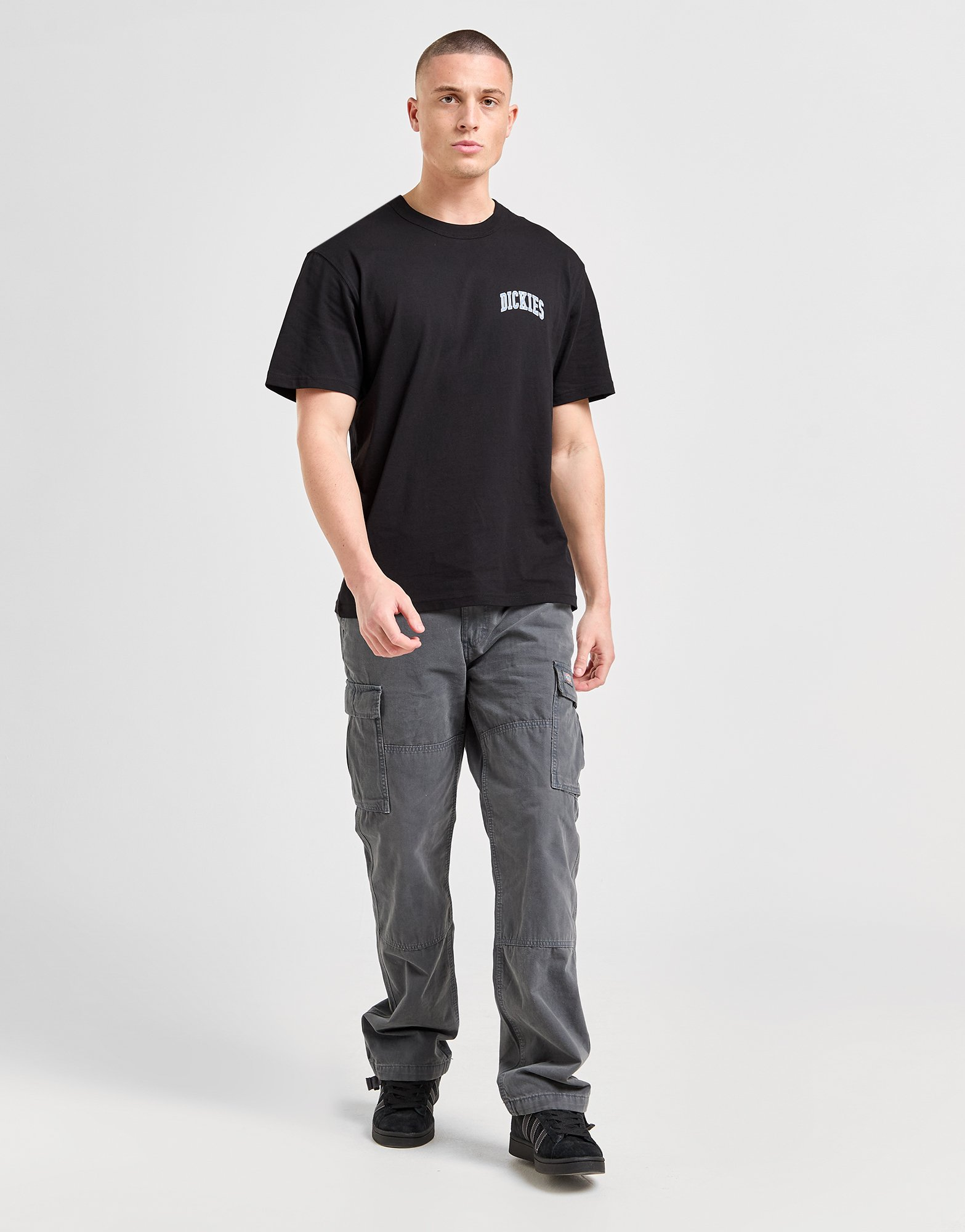 Dickies T-shirt Aitkin Chest Homme