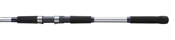 Combo pêche du bar Shakespeare Salt Searcher Combo Set 2.70m (40-80g)