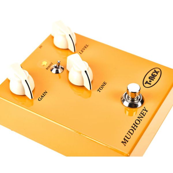 T-Rex Mudhoney