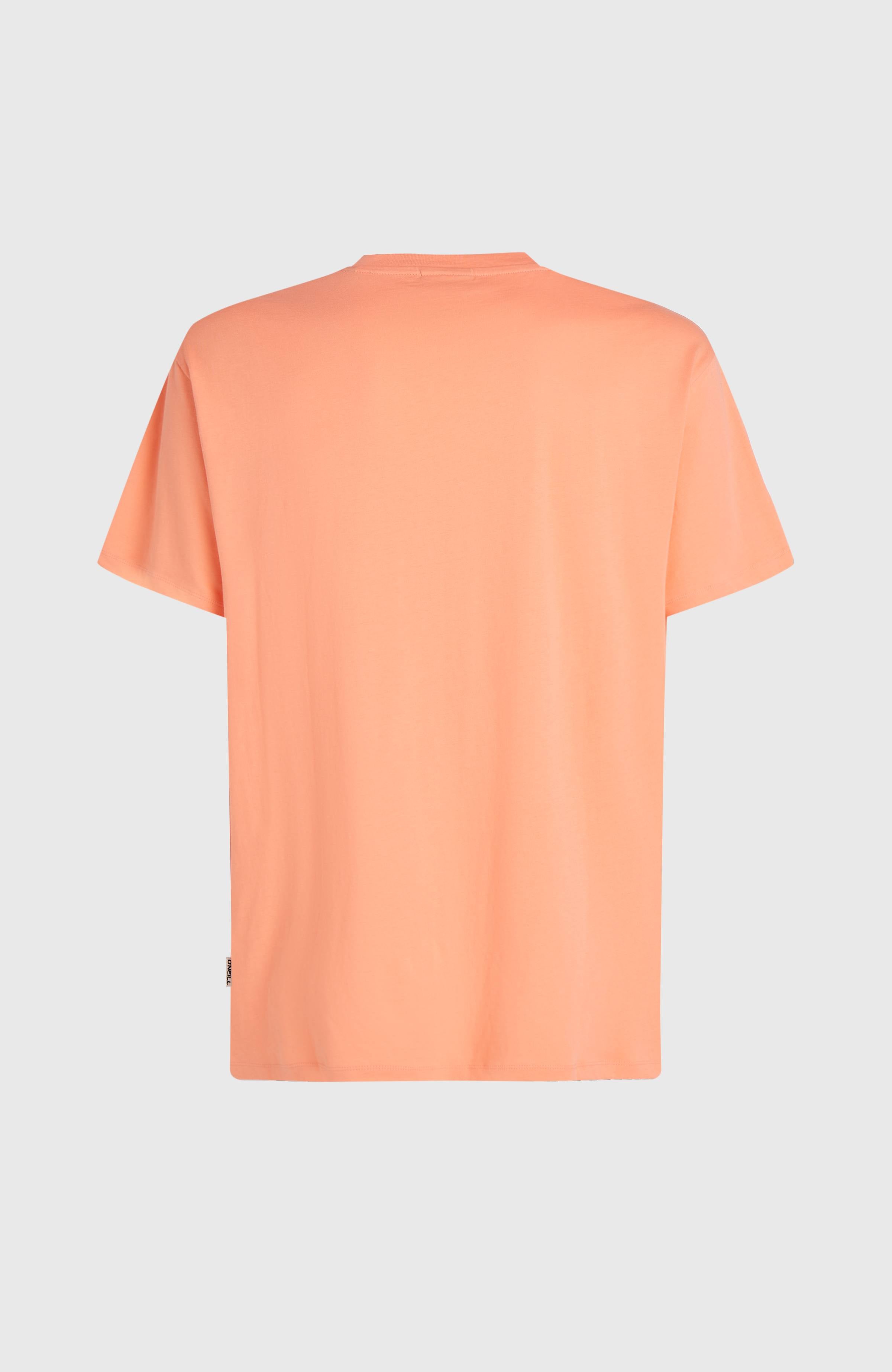 O'Neill Muir T-shirt