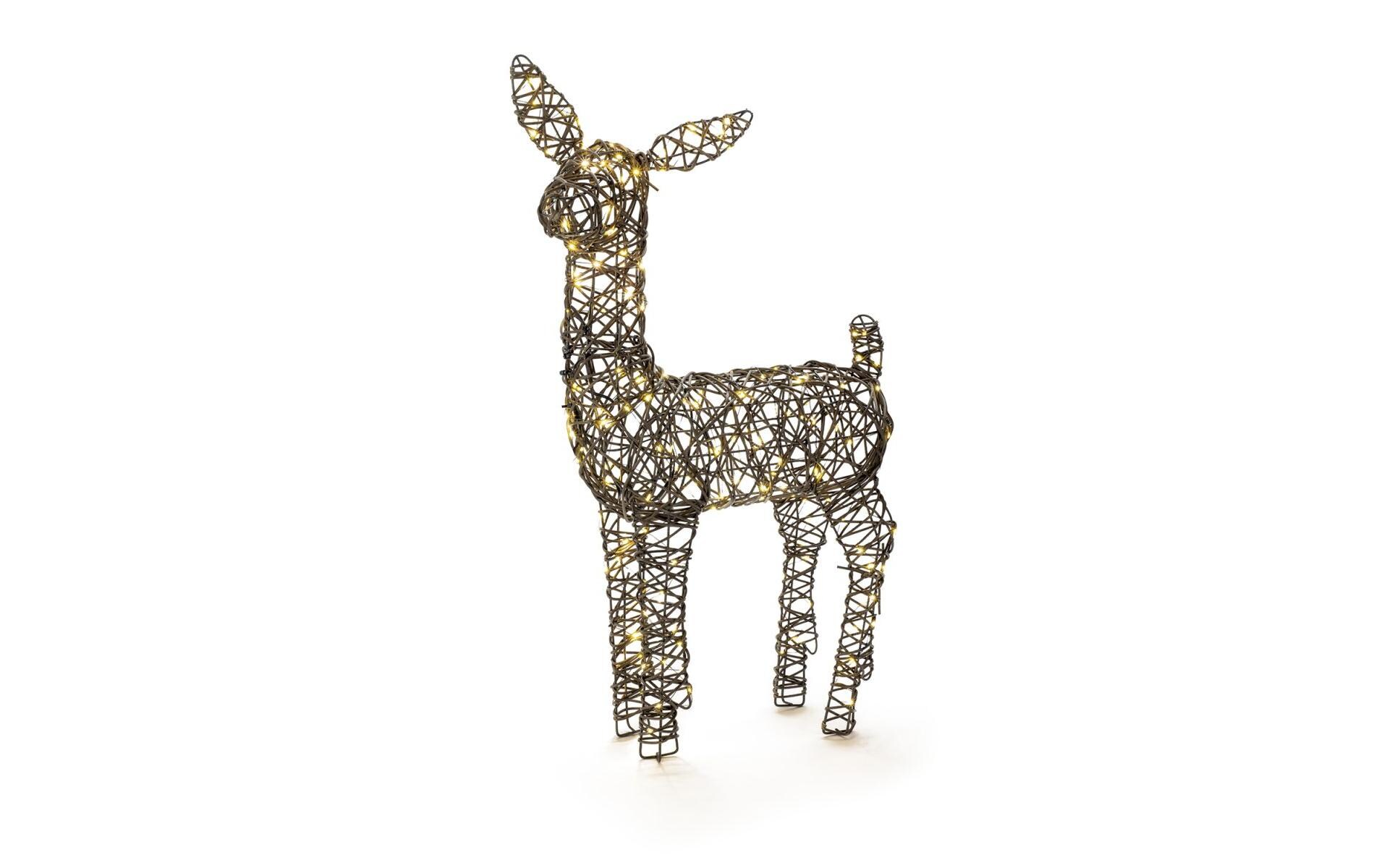 Wicker deer, 66 WarmweissLED Dekoration