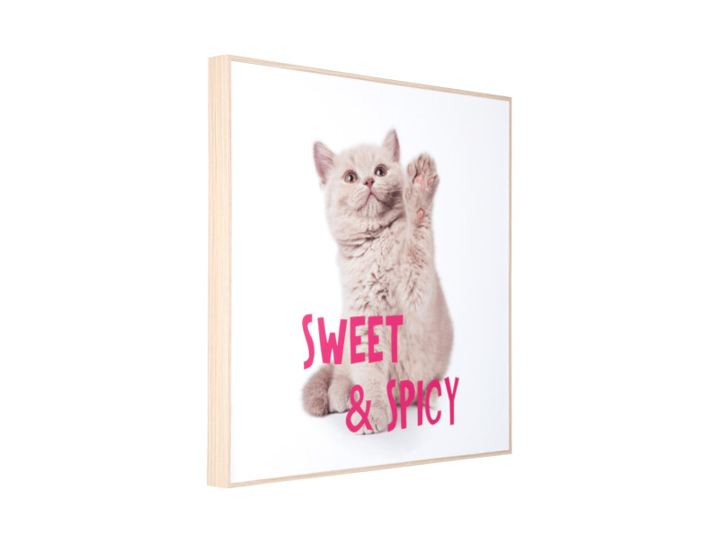 Wall Art Kitten Sweet & Spicy