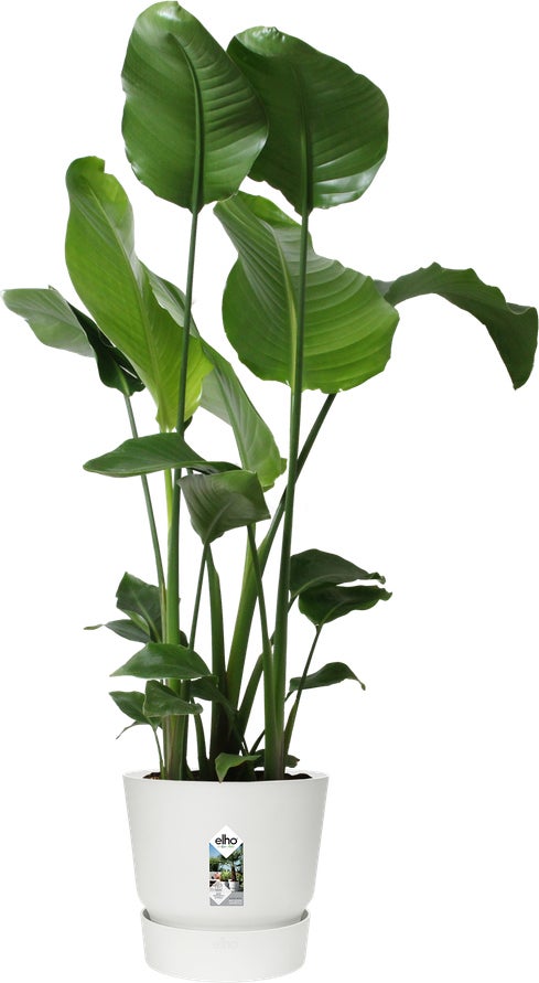 Elho bloempot Greenville wit D 29,5 H 27,8 cm