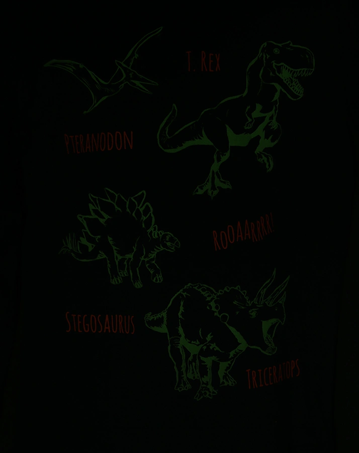 Langarmshirt DINOSAURIER GLOW IN THE DARK in dunkelblau