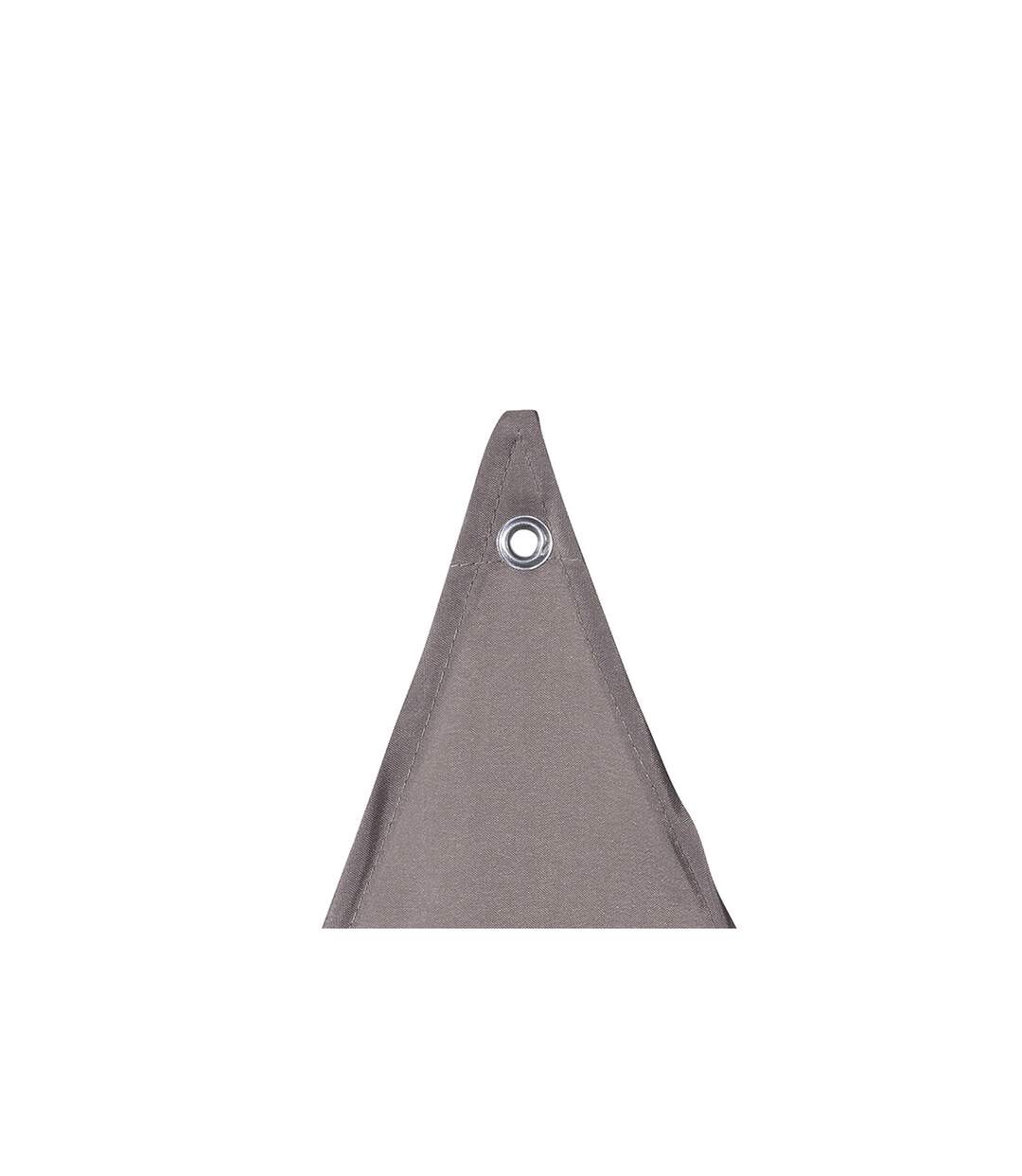 Toile solaire / Voile d'ombrage Anori - 4 x 4 x 4 m - Taupe