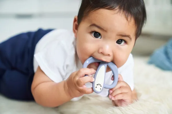 Matchstick Monkey Teether Shark