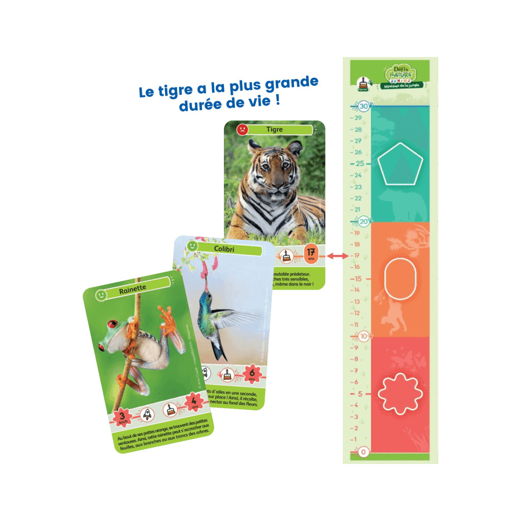 Défis Nature Junior - Mystères de la Jungle