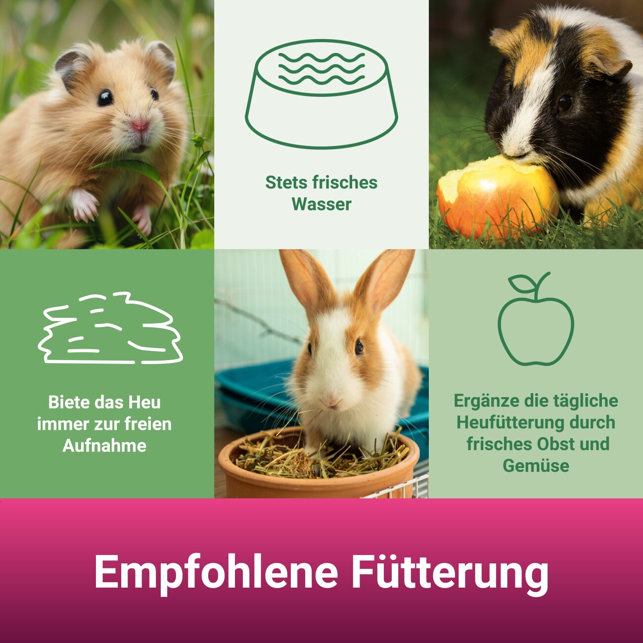 Panto ® APFELWIESE