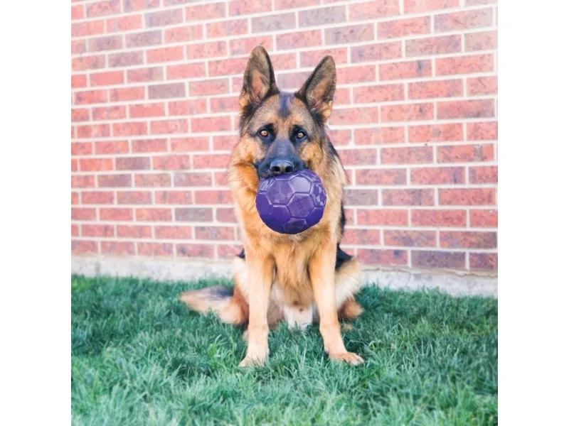 KONG Kong Flexball 15cm