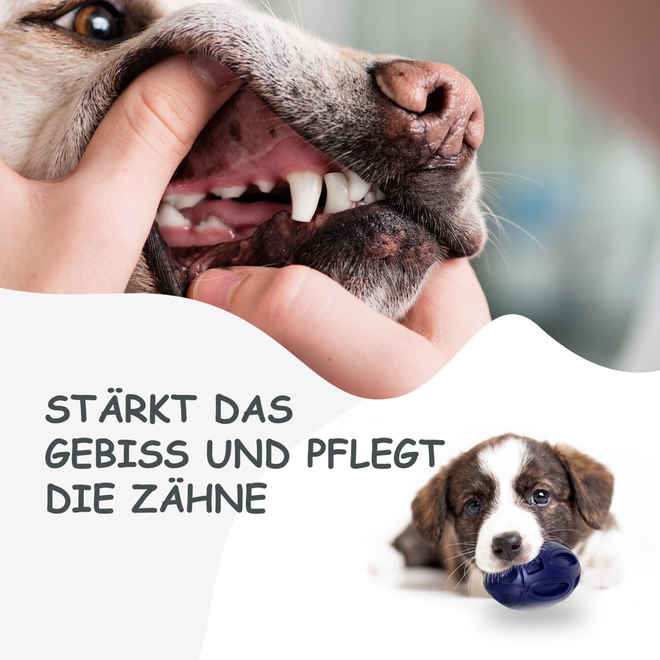 Petsation Kauspielzeug Ball blau