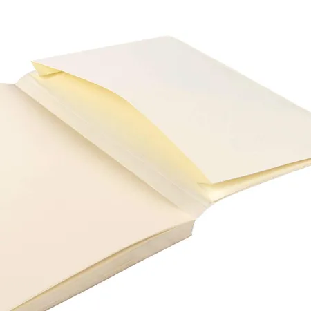 Idena Agenda A5 Kork FSC-Mix, 2023