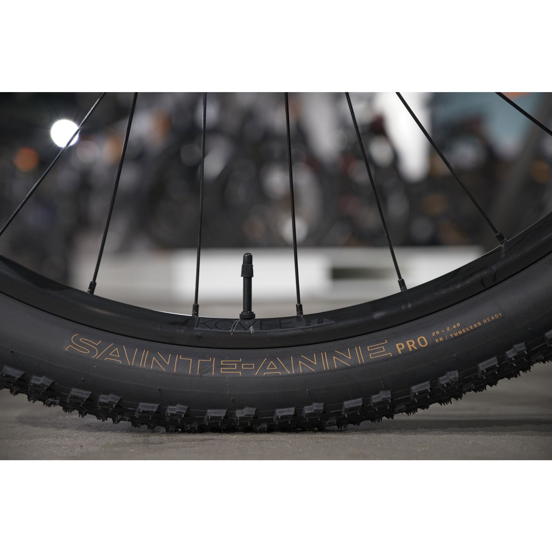 Trek Procaliber 6 2026