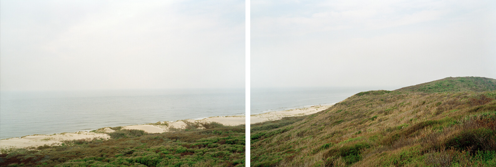 Verklikkerduinen 1 by Jan Koster - Limited Edition. Edition of: 100. Signed.
