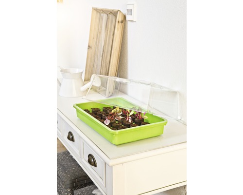 FloraSelf binnenkas kap 38x24x13 cm
