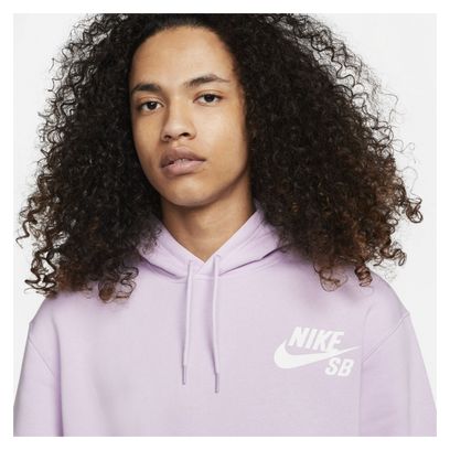 Sweat à Capuche Nike SB Icon