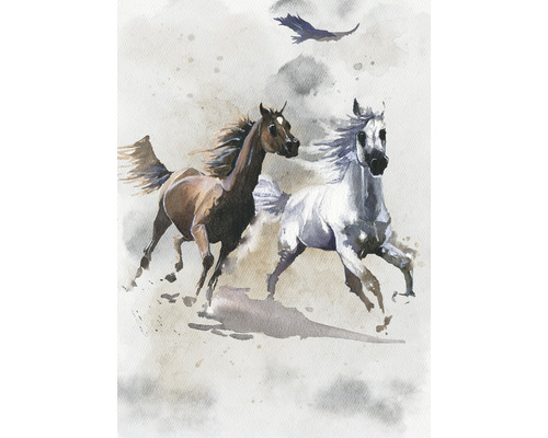 Fotobehang vliesbehang IAX4-0030 Into Adventure Wild Ride 4-delig 200x280cm