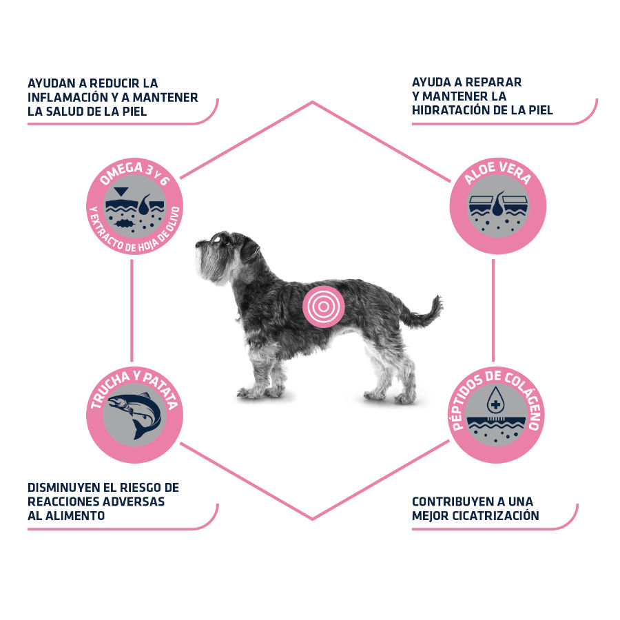 1,5 kg de ração Advance Veterinary Diets Mini Atopic para cães