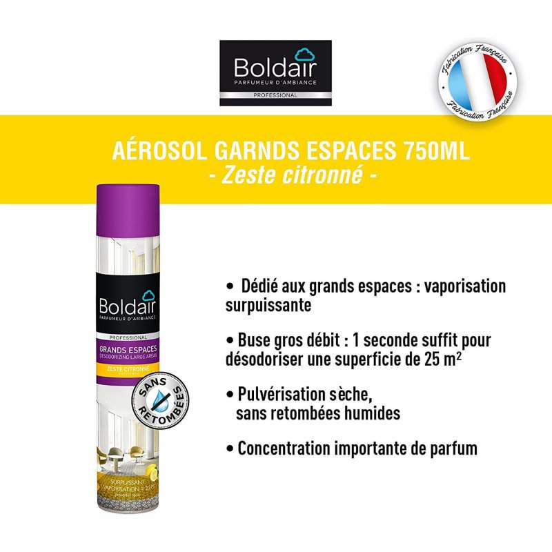 Désodorisant Boldair buse surpuissante zeste de citron - Aérosol 750 ml