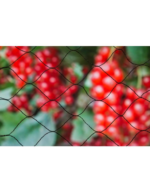 Nature Tuinnet Primo Zwart - Kweekbenodigdheden