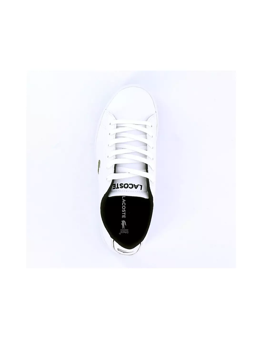 LACOSTE CARNABY EVO - Baskets Whiteblack