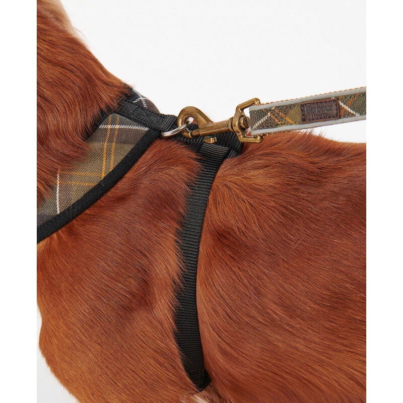 Tartan Dog Harness - Harnais pour chien