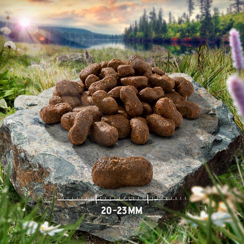 Purizon Large Adult, poulet & poisson XXL - sans céréales