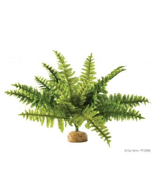 Exo Terra Rainforest Plant Boston Fern - Kunstplanten