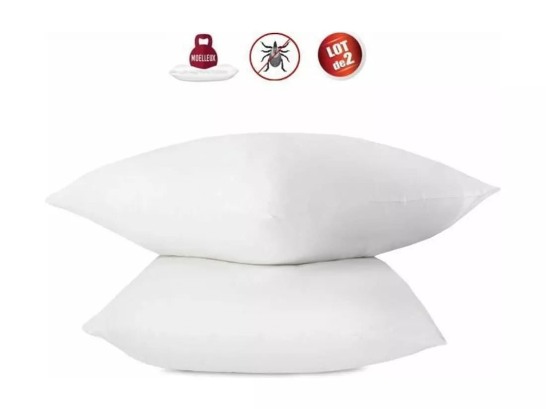 Lot de 2 oreillers anti-acariens - 60 x 60 cm - 100% coton traite Bio - ABEIL