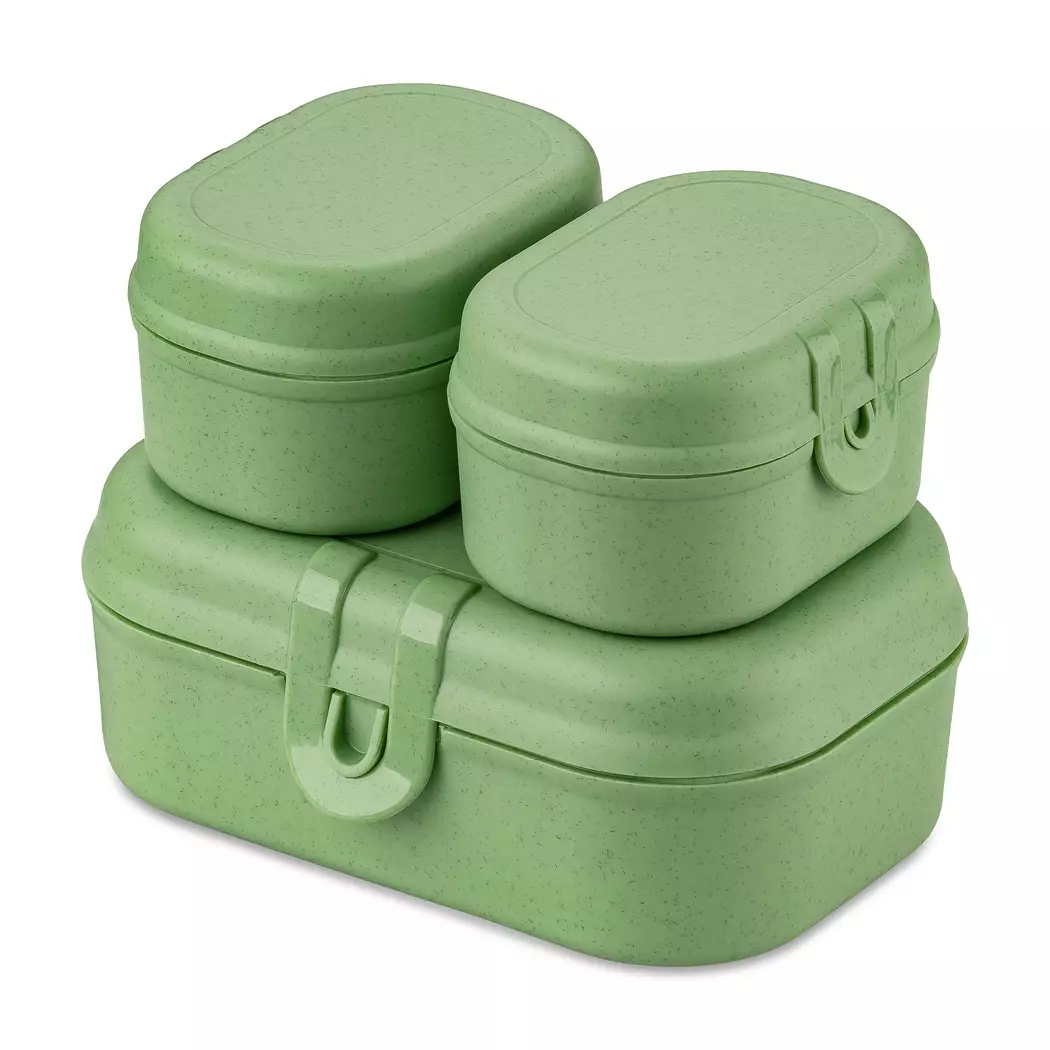 Lunchbox Pascal Ready 3tlg.