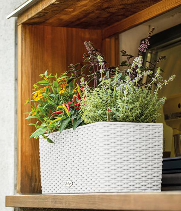 LECHUZA® Kunststoff-Kasten Balconera Cottage,