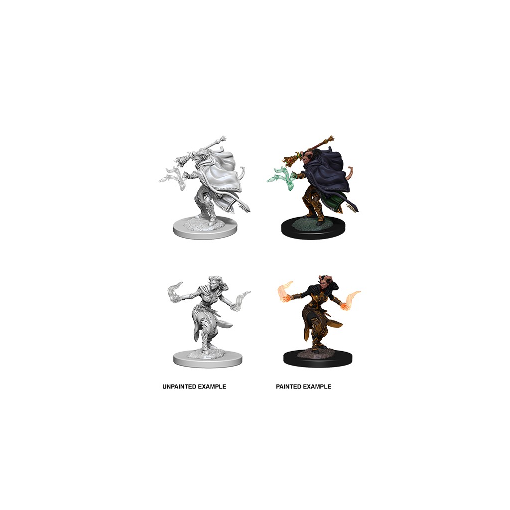 D&D Nolzur's Marvelous Unpainted Miniatures: Female Tiefling Warlock