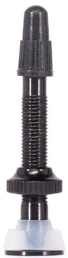 Radio Tubeless Valve | SkatePro