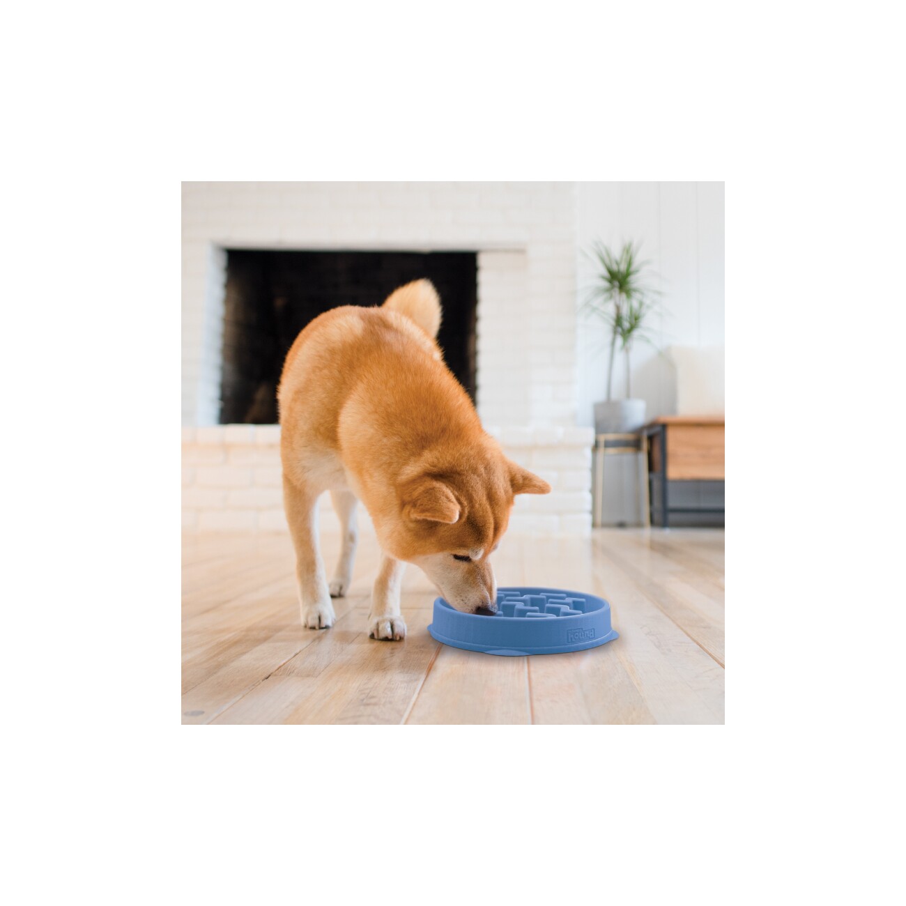 Outward Hound Fun Feeder Slo Bowl