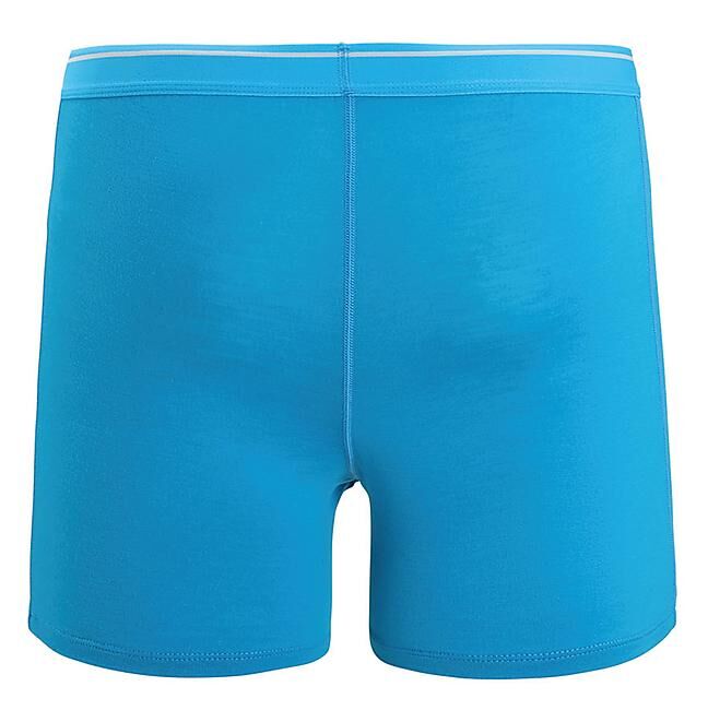ICEBREAKER - BOXER ANATOMICA M
