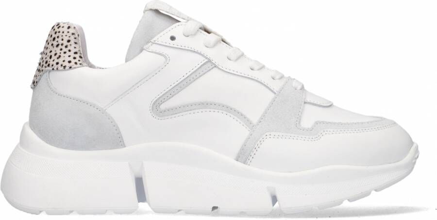 Maruti Witte Lage Sneakers Cody