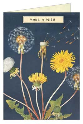 Make a Wish Dandelion Card