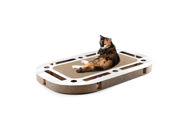 Tier-Intelligenzspielzeug »CanadianCat Playplate« Pappe