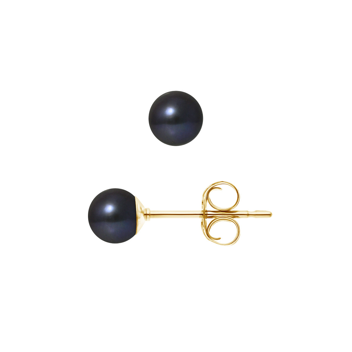 Boucles d'Oreilles - Or Jaune Perles de Culture d'Eau Douce - Black Tahiti