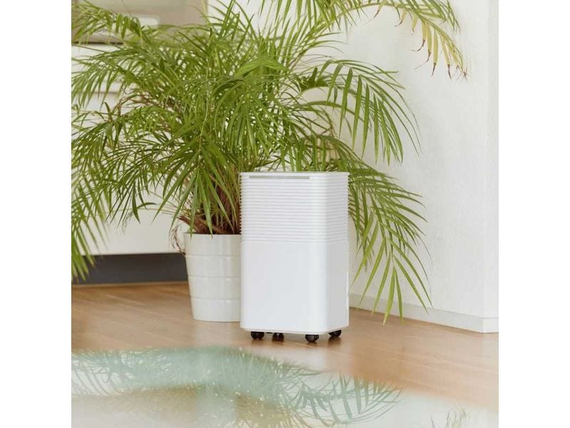 Ecofort Entfeuchter ecoQ DryAir 12L Essential 30 m² Raumentfeuchter