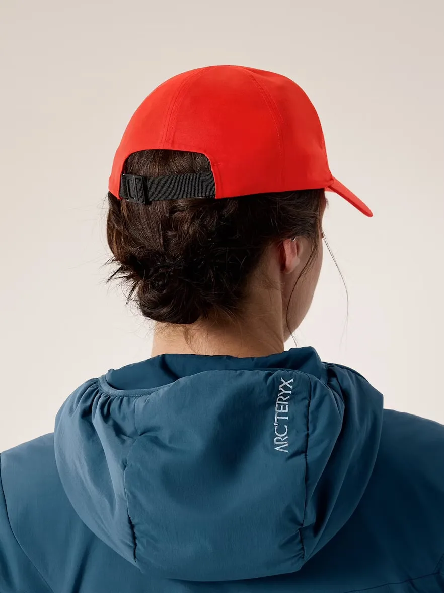 Arc'teryx Bird Word Cap Dynasty