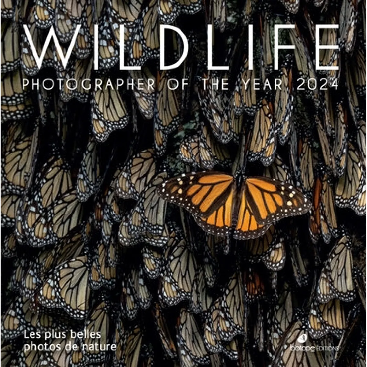 Wildlife photographer of the year 2024 : les plus belles photos de nature