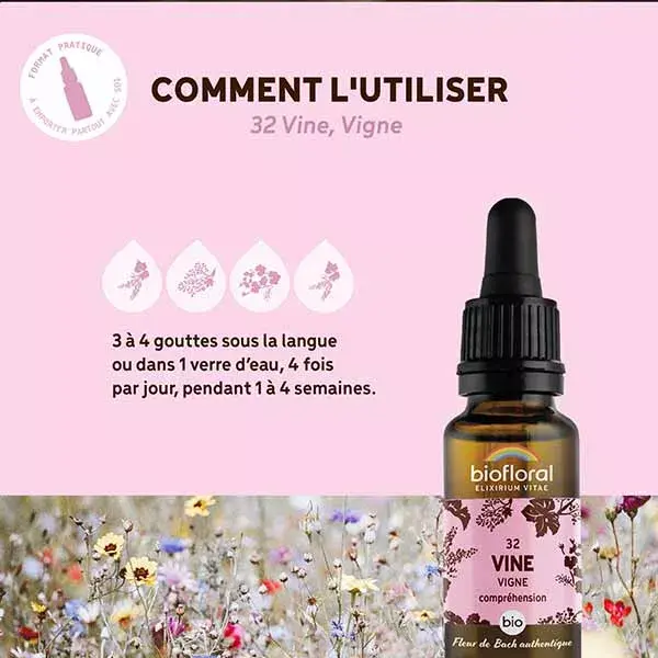 Biofloral Fleur De Bach 32 Vine Vigne Compte Gouttes Bio Demeter 20 ml