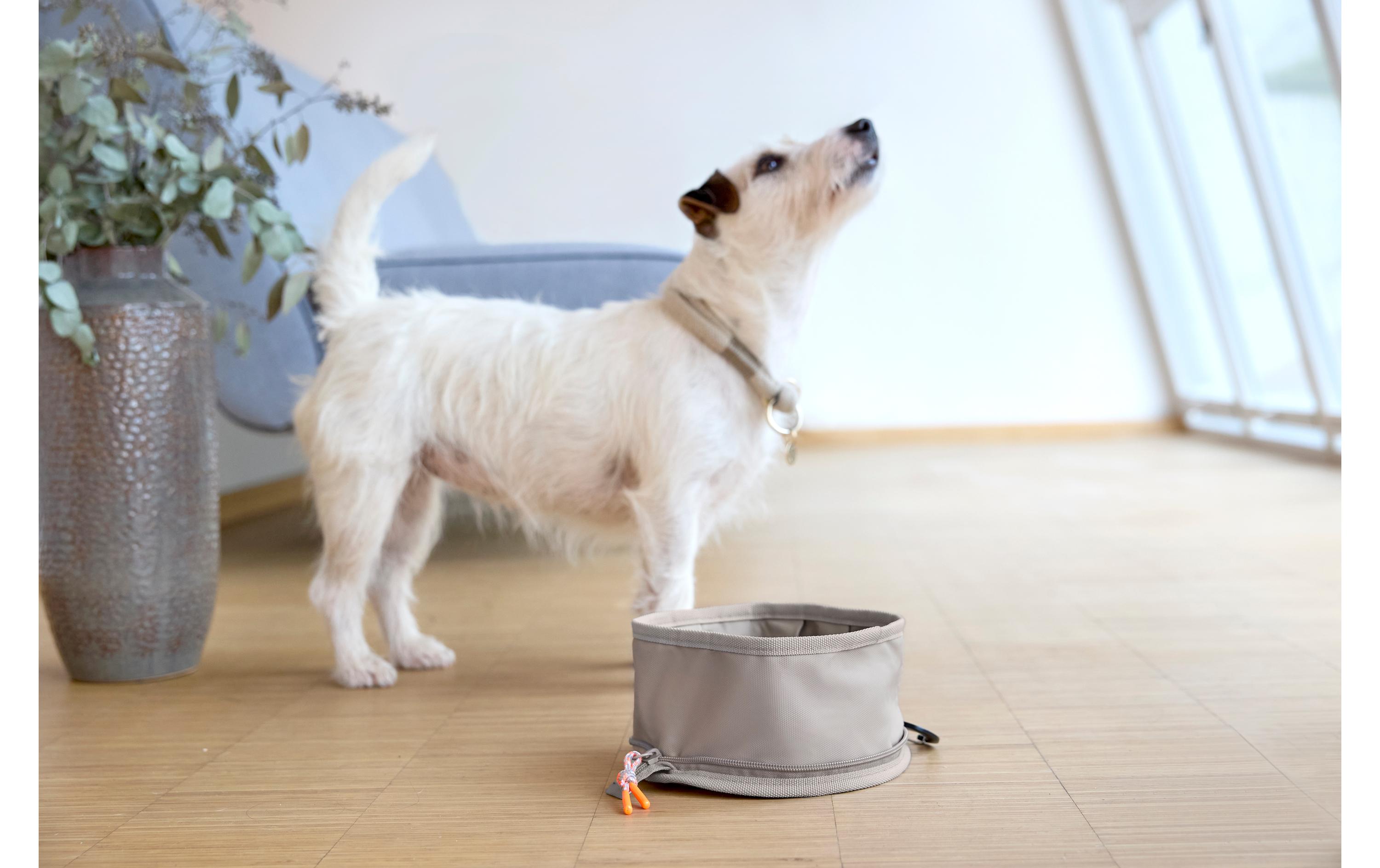 Reisenapf Dog Bowl To Go Tura AnthrazitHundenapf für unterwegs